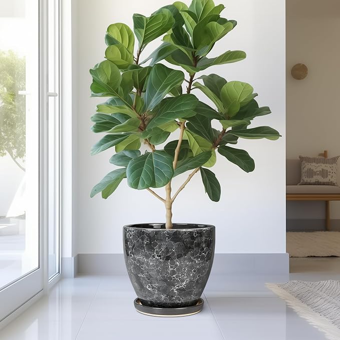 Ceramic Pots for Plants - Image 4