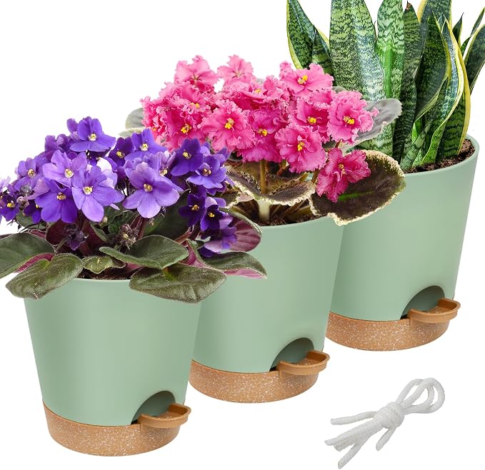 Aulock 6in Self Watering Pots for Indoor Plants by Aulock