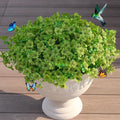 JAKY-Global Faux Artificial Plants Outdoor Flowers Spring Summer Decor 16 by JAKY-Global