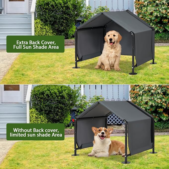 Dog Shades for Outside - Image 4