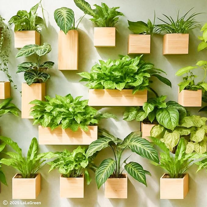 LaLaGreen Wooden Planter Box for Plants Small Square Wall Planters for Indoor - Image 8