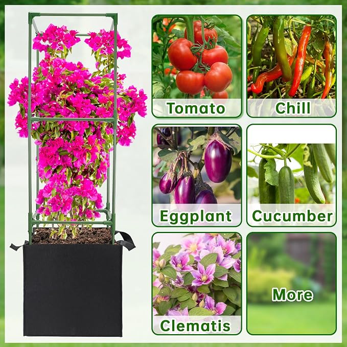 ANPHSIN 3 Sets Tomato Cages - Image 7