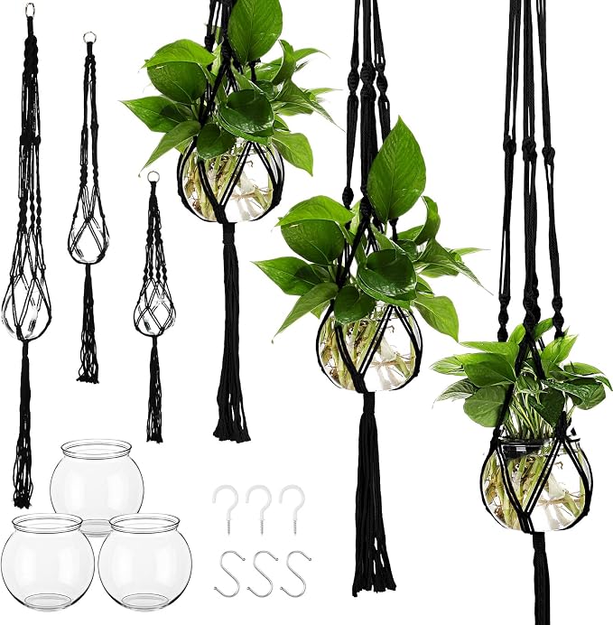 6 Pcs Plastic Plant Propagation by Colingmill