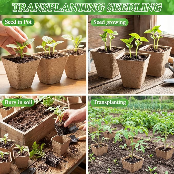 120 Pcs Square Peat Pots for Seedlings - Image 4