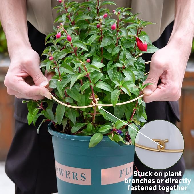 5PCS Durable Monstera Plant Stem Support Stake - Image 4