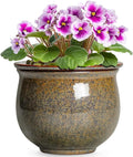 Self Watering Planters for Indoor Plants, 6 Inch Ceramic African Violet Pots by Teagas