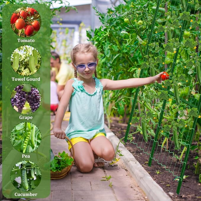 Cucumber Trellis for Raised Beds, 31 X 47 Inch Adjustable Size A-Frame Garden - Image 6