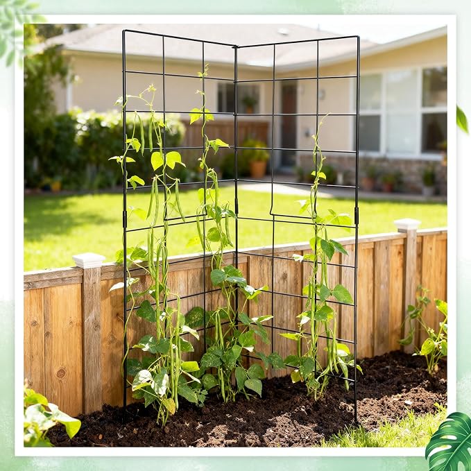 59" H x 31" L Foldable Cucumber Trellis - Image 6