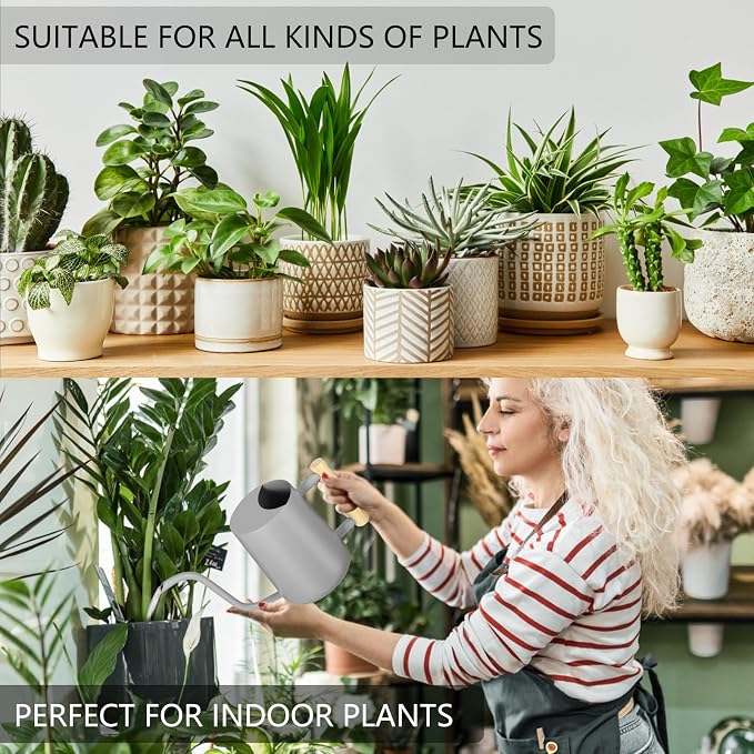 Watering Can Indoor Plants, 35oz Small Indoor Stainless Steel Metal Watering - Image 4