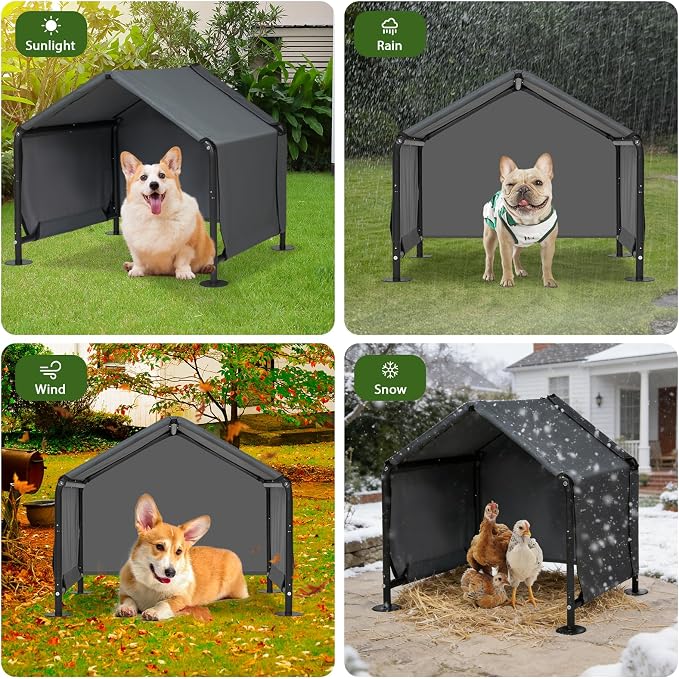 Dog Shades for Outside - Image 7