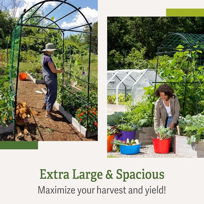 Gardener’s Supply Company Extra Tall Garden Arch Arbor | 80 Inch Tall Titan - Image 9
