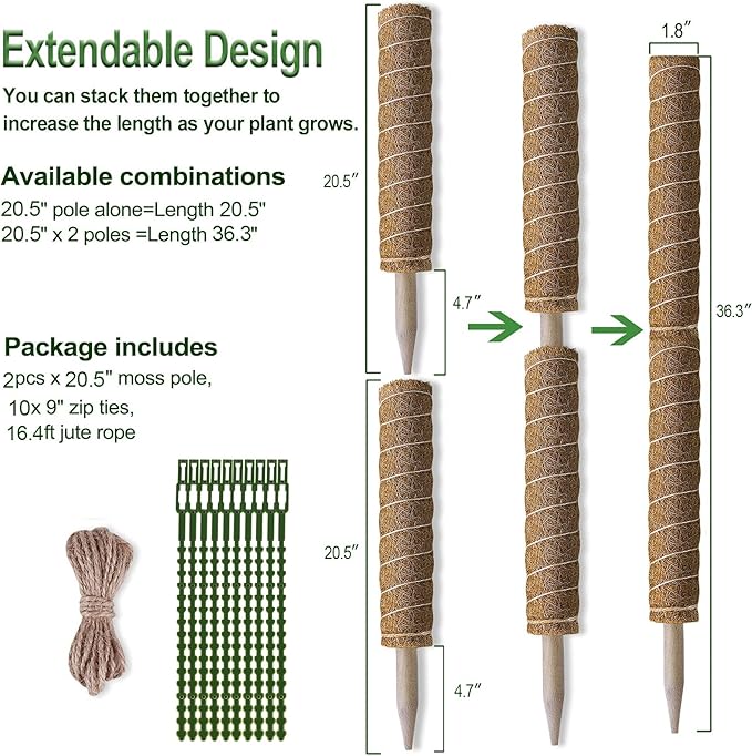 Moss Pole 36 Inch - Image 6