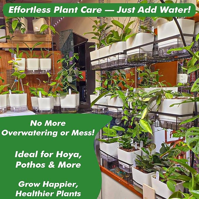 Planterhoma Self Watering Plant Pots - Image 7