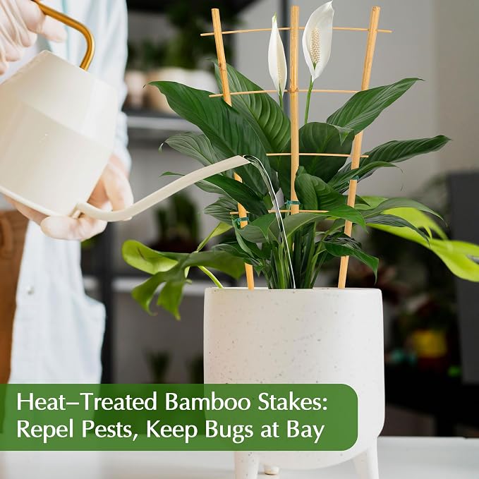 Bamboo Trellis - Image 7