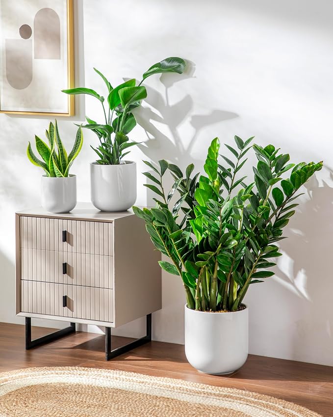 vancasso 6+8+10 inches Ceramic Plant Pots, Planters - Image 7