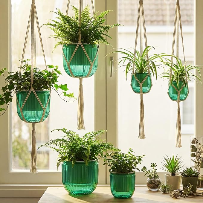 6 Pack Self Watering Hanging Planters Indoor Flower Pots Visible Water Level - Image 7