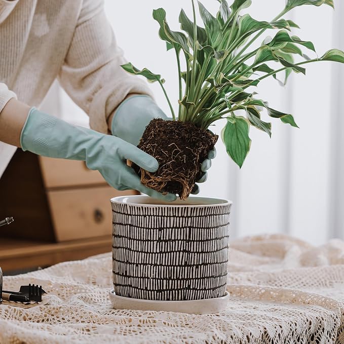 8 Inch Plant Pot: Ceramic Planter - Image 4