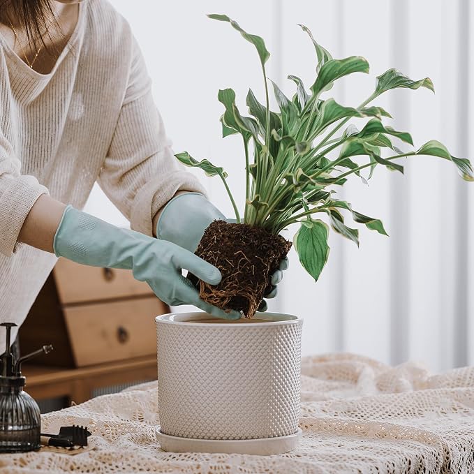 8 Inch Plant Pot: Ceramic Planter - Image 3