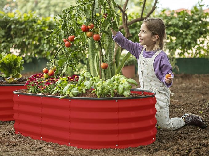 Plant & Plot Galvanized Raised Garden Beds Outdoor // 4×2×1 ft Planter Raised - Image 4