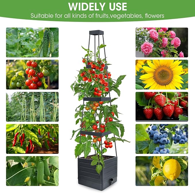 2 Pack Raised Garden Bed Planter Box - Image 3