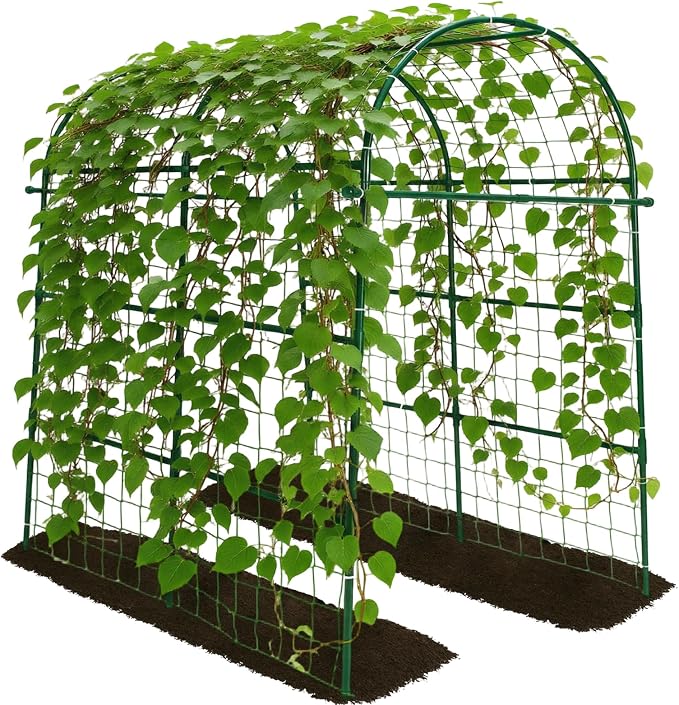 Garden Arch Trellis for Climbing Plants Outdoor by TrellumeGardenHome