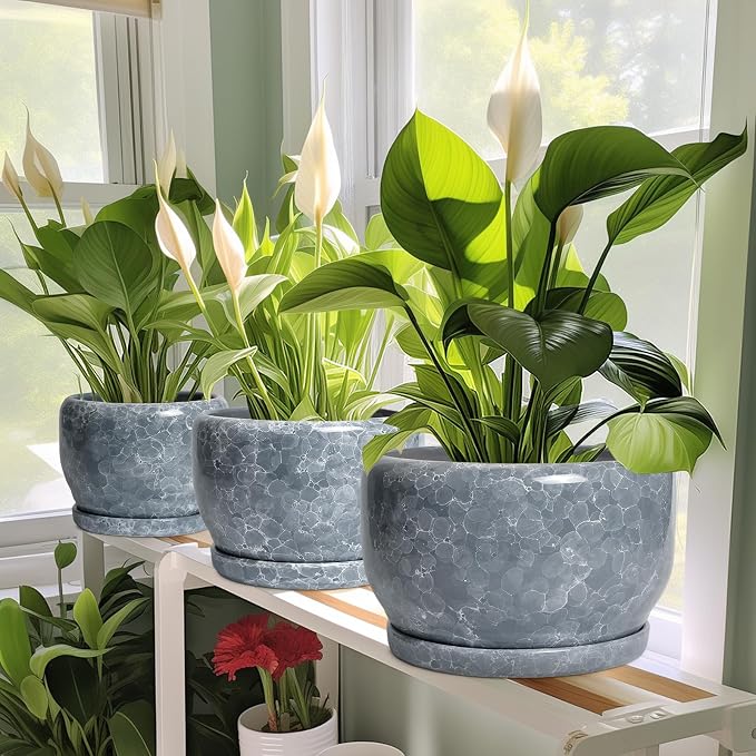 SQOWL 6 Inch Plant pots Indoor - Image 5