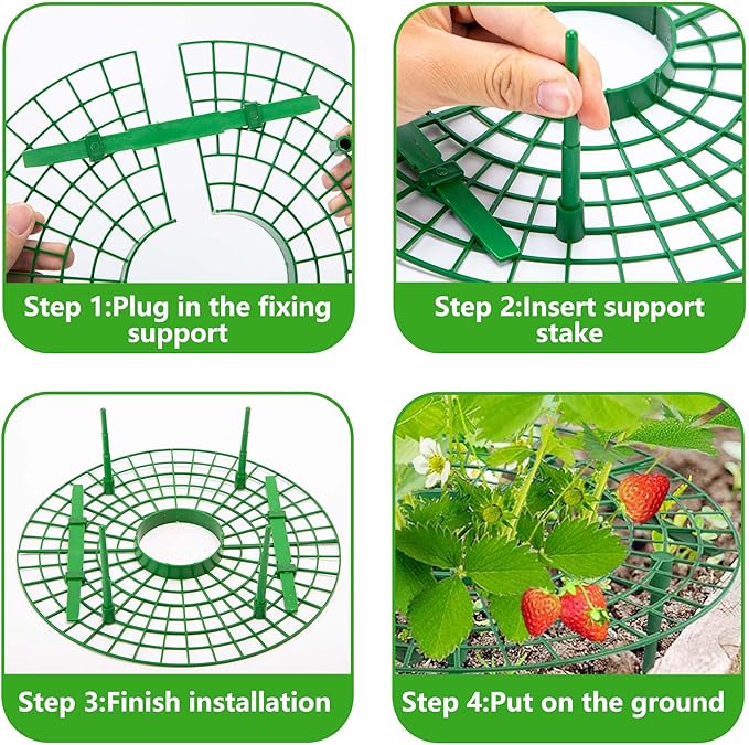 Iceyyyy 5 Pack Strawberry Plant Support - Image 4