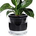D'vine Dev 8 Inch Design Self Watering Planter by DvineDevPlanterPotsandStand