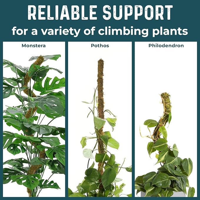 2 Pack 42'' Bendable Moss Pole Monstera Plant Support - Image 5