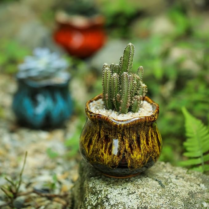 Cute Ceramic Succulent Planters, Garden Pots - Image 4