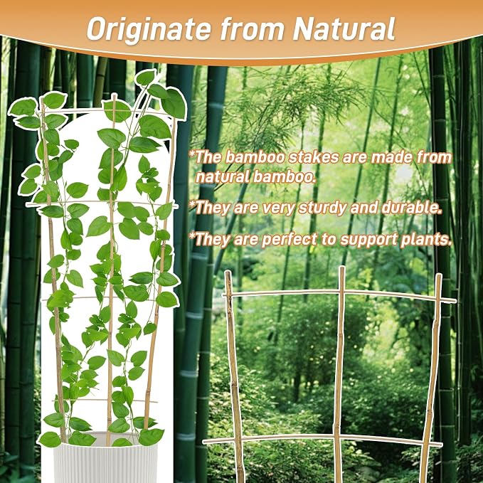 10 Pack 3ft Bamboo Trellis for Climbing Plants - Image 3