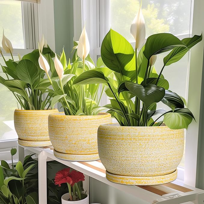 SQOWL Ceramic Flower Pots - Image 6