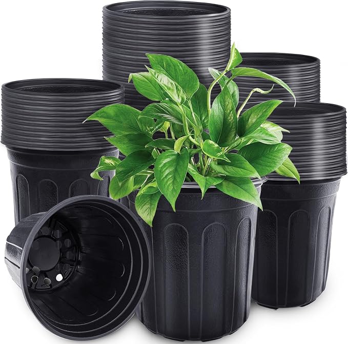 60 Pcs 1 Gallon Plant Nursery Pots, Plastic Seed Starter Pot by -PlantWateringGlobes-