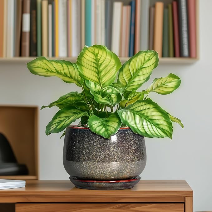 G EPGardening 6 Inch Plant Pot - Image 6