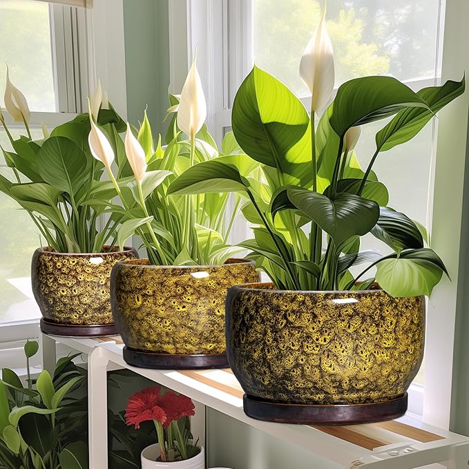 SQOWL 10 Inch Plant Pot - Image 6