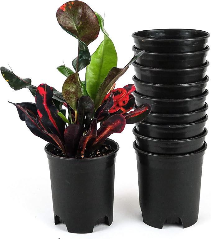 Wholesale Bulk Nursery Pot 4 Inch Black Plastic Planters 30-Pack 0.25 Gallon by CottaPlanters