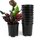 4 Inch Nursery Pot Plastic Planters by CottaPlanters