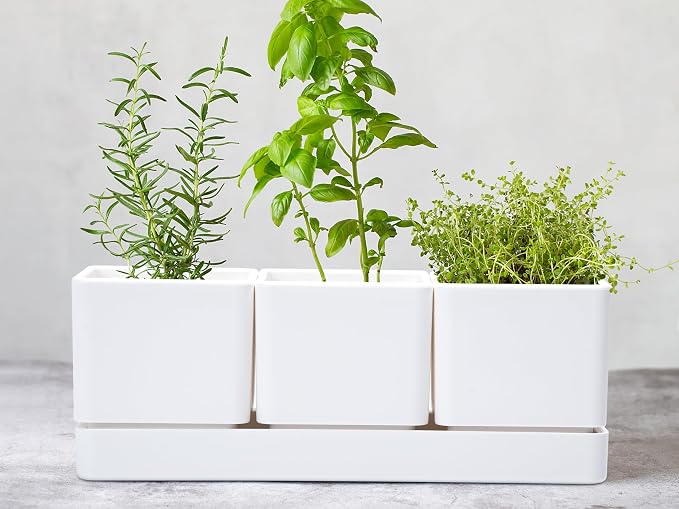 D'vine Dev Herb Garden Planter Set, Plastic Plant Pots - Image 7