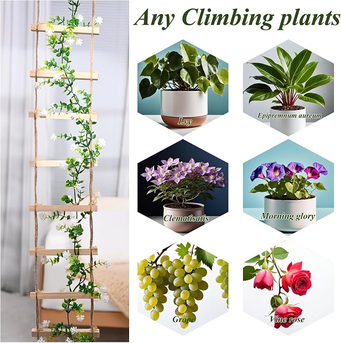2PCS Chain Trellis for Climbing Plants - Image 7