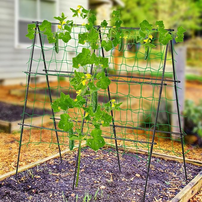Lalahoni Cucumber Trellis, 4ft x 4ft Metal A-Frame Garden Trellis Climbing - Image 6