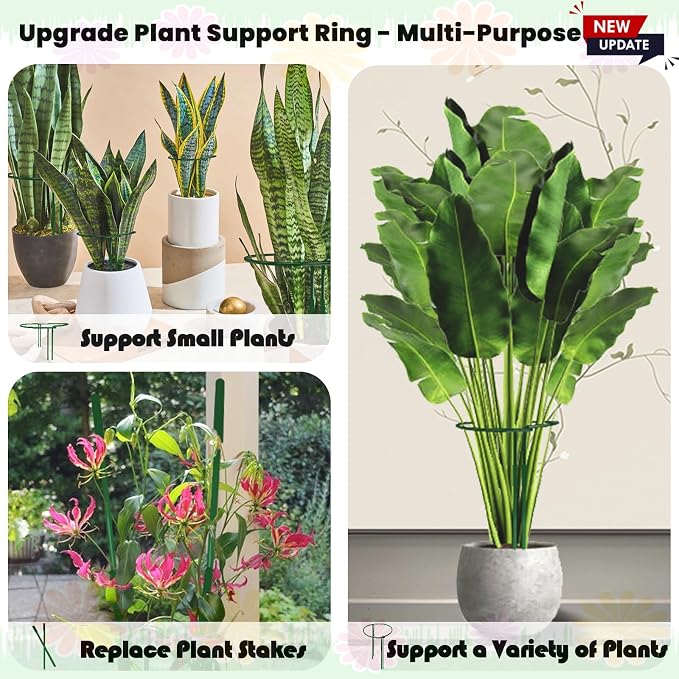 10-Pack Adjustable Height Snake Plant Support Stakes- Sturdy, Rust-Resistant - Image 7