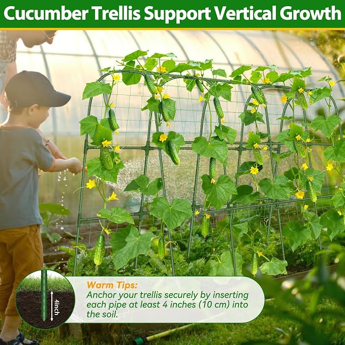 Cucumber Trellis for Raised Bed, Metal Arch Plant Support, Vegetables Trellis - Image 7
