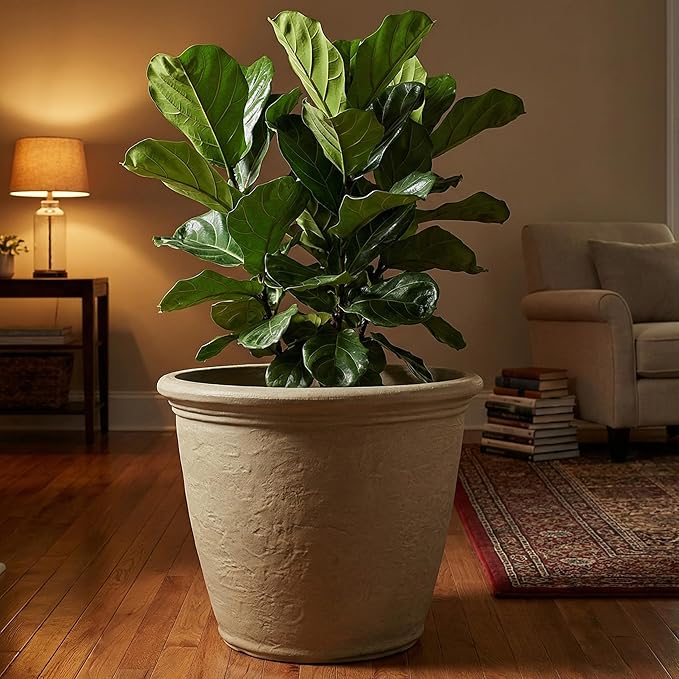 Sunnydaze 20-Inch Anjelica Large Plastic Pot - Image 8