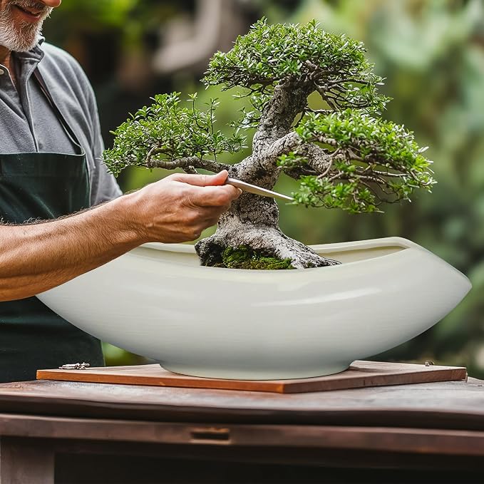 Bonsai Pots 18 Inch - Image 4