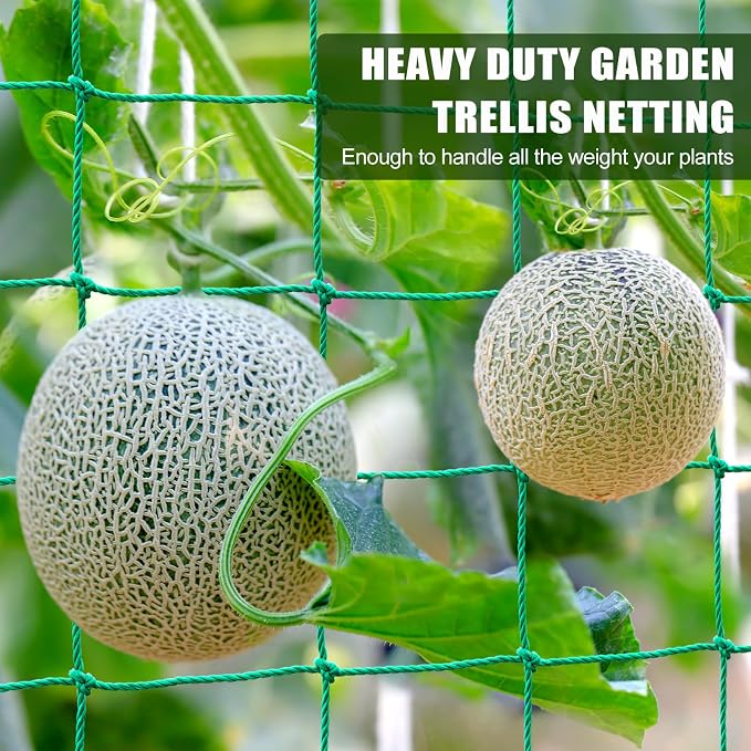 Garden Trellis Netting - Image 5