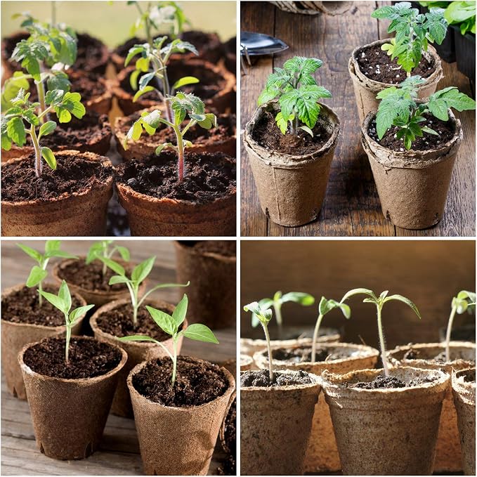 homenote Peat Pots - Image 5