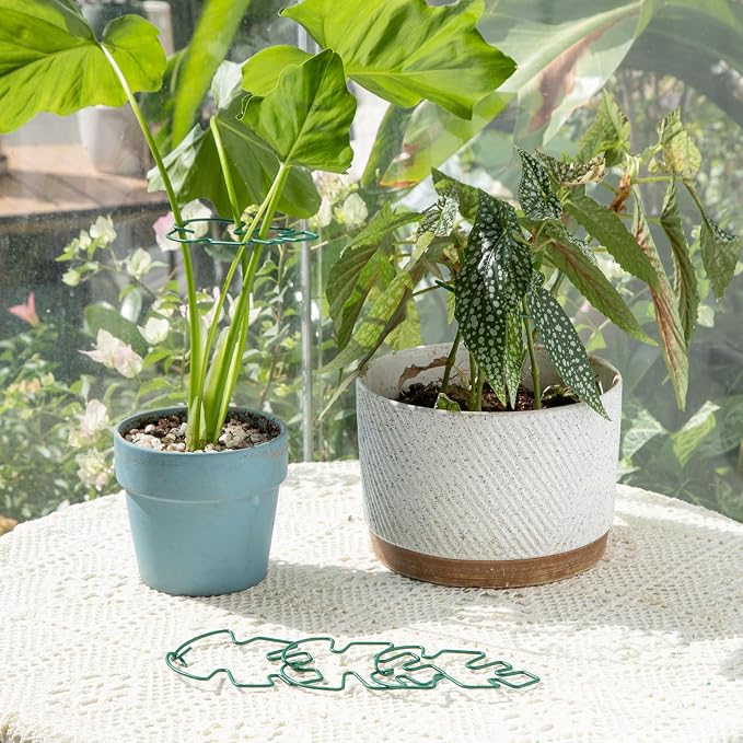 Monstera Plant Stem Support - Image 6