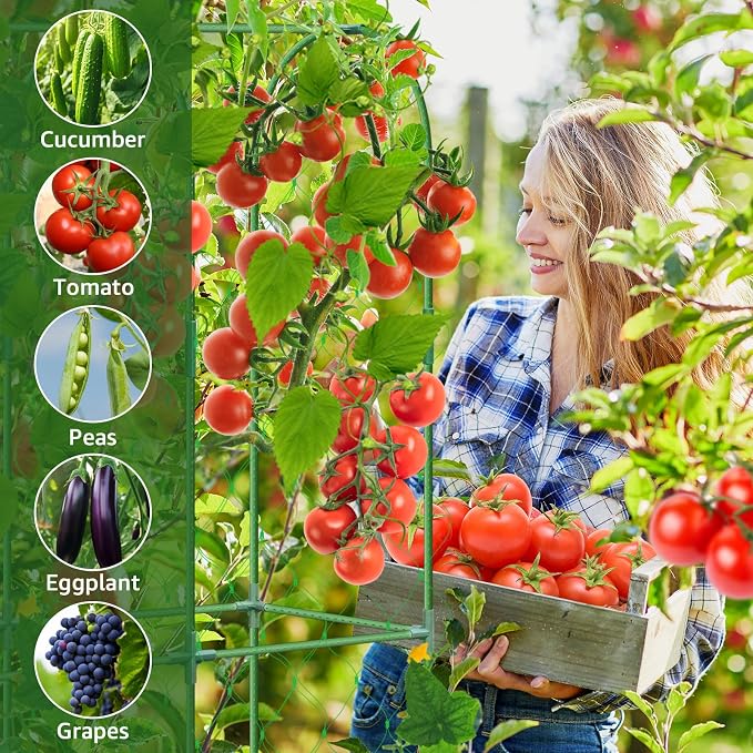 65"×48" Upgrade Heightened Cucumber Trellis - Image 7