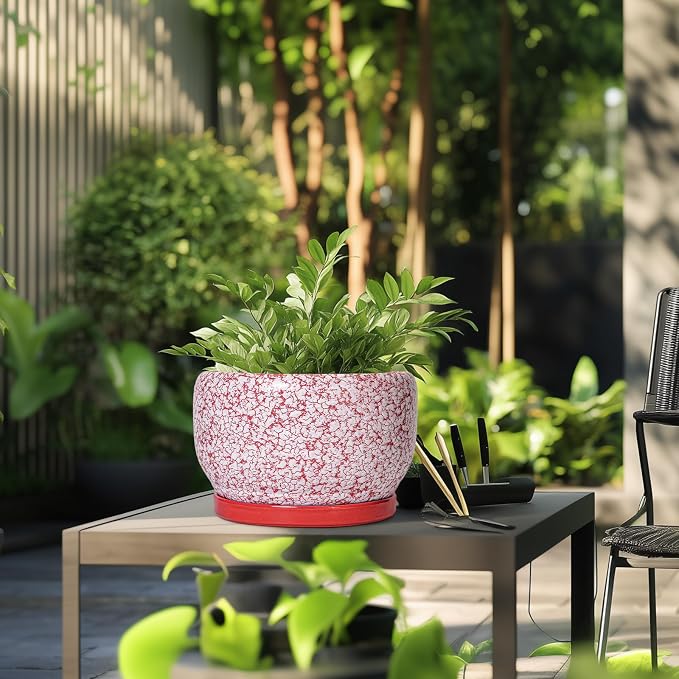 SQOWL Ceramic Planters for Indoor Plants - Image 5