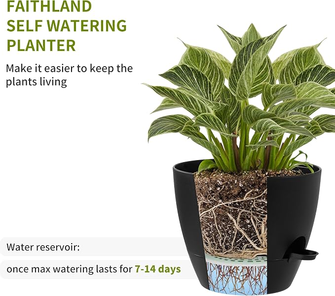 FaithLand 3-Pack Planter Pots, 10 9 8 Inch Self Watering Flower Pots - Image 4